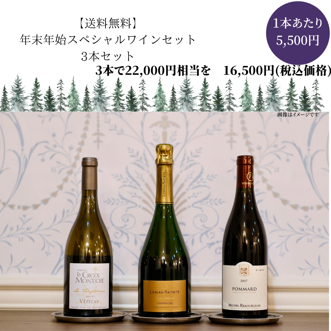 【送料無料】シャンパーニュ入り！2023年年末年始限定お得なワイン3本セットD