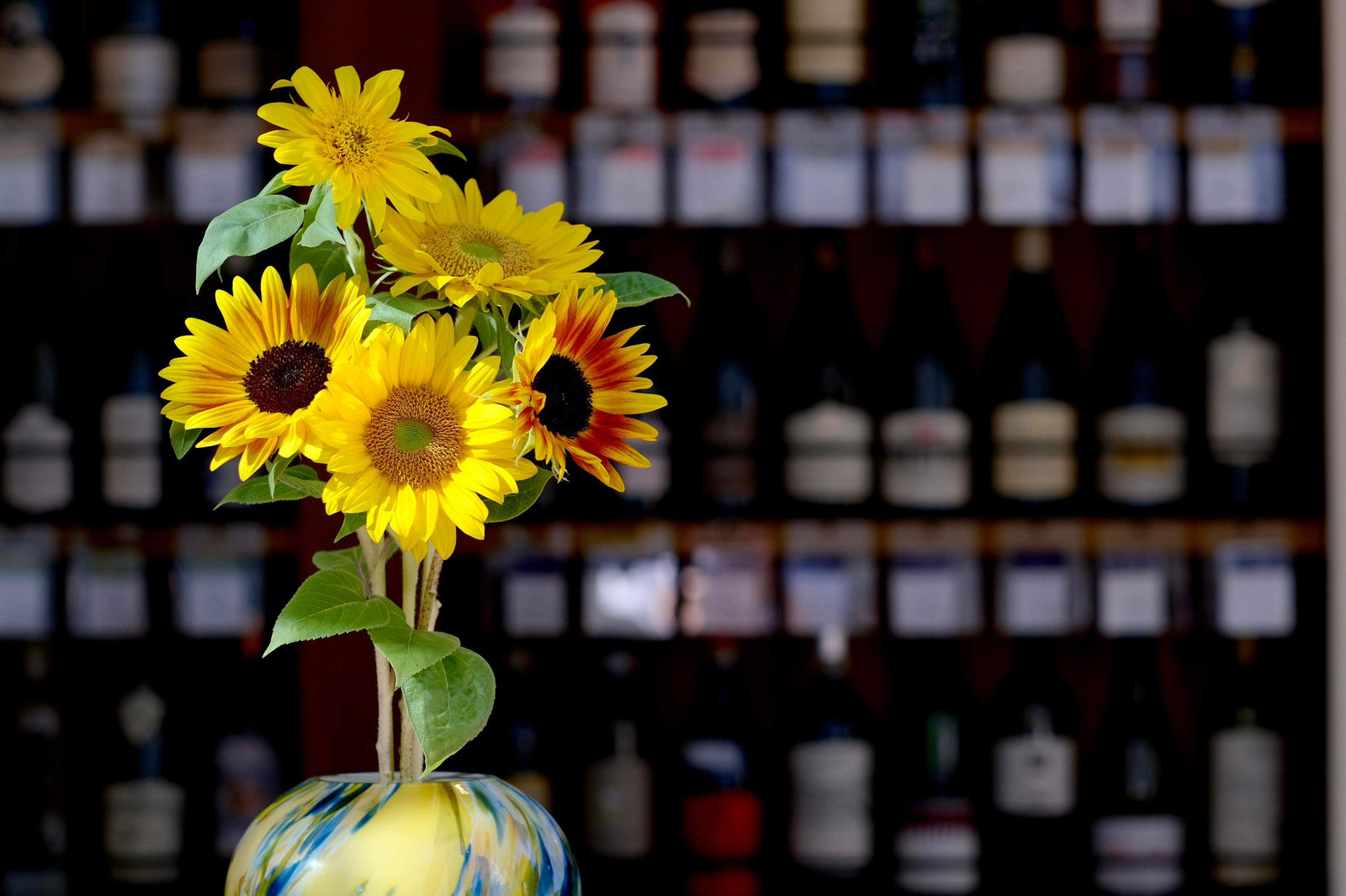 2023年8月の休館日のお知らせ