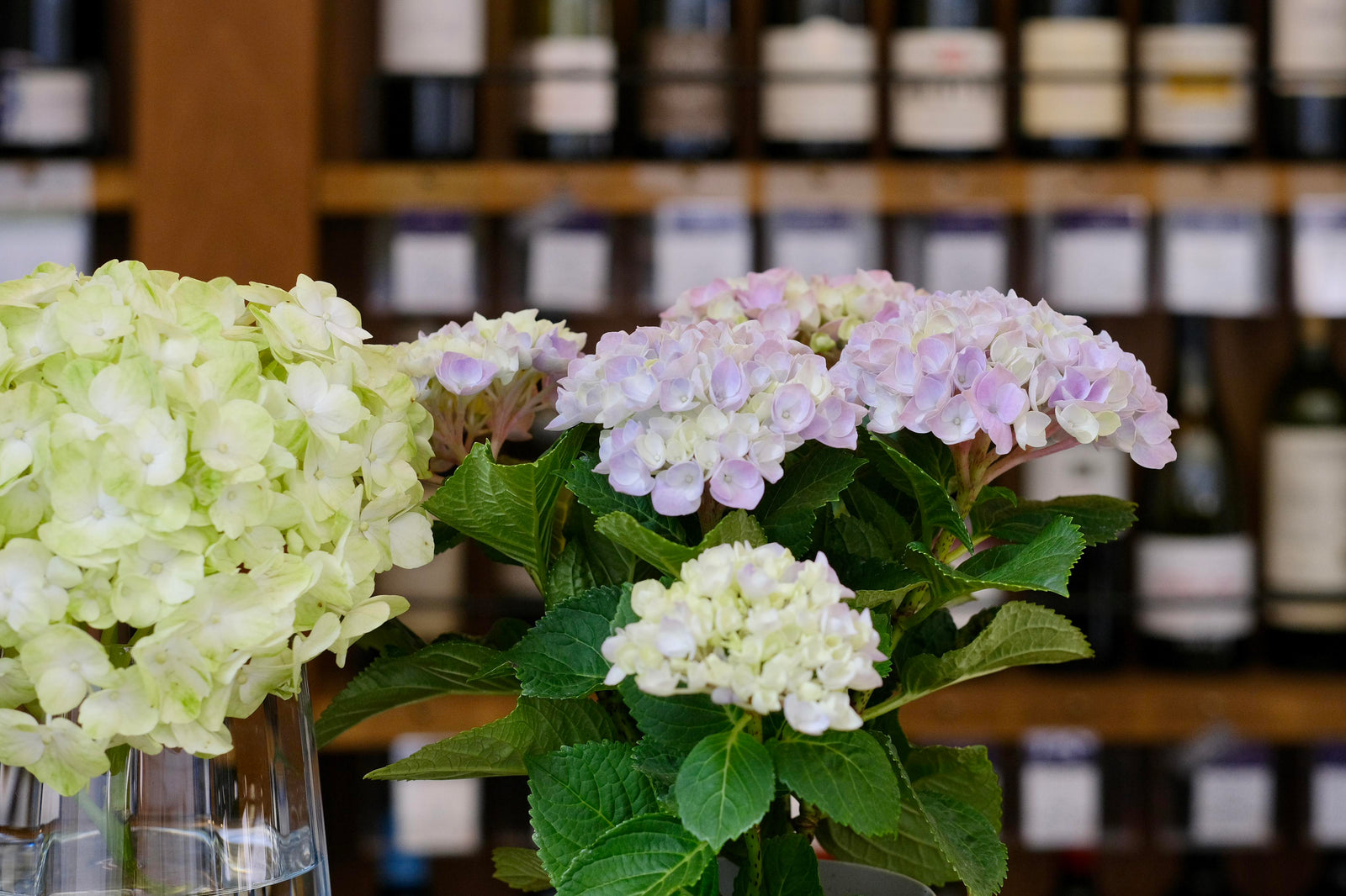 2023年6月の休館日のお知らせ