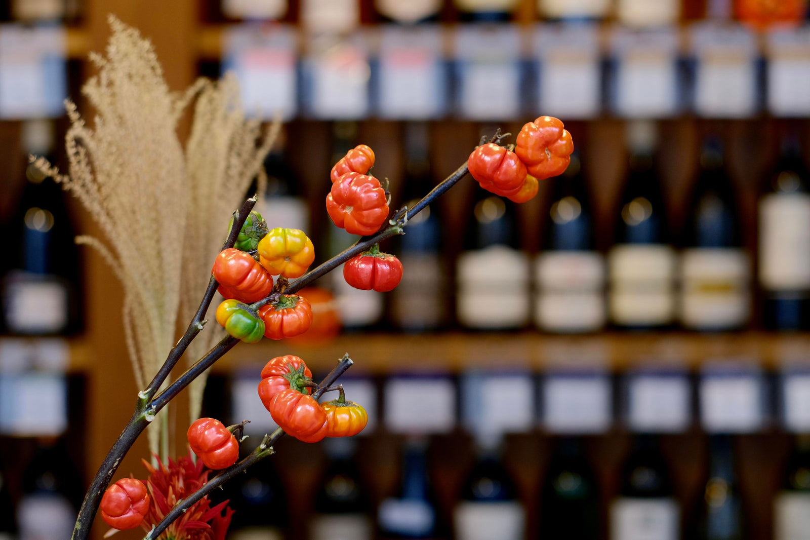 2023年10月の休館日のお知らせ