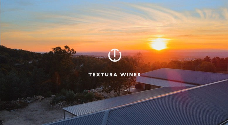 【輸入の流儀】テストゥーラの場合