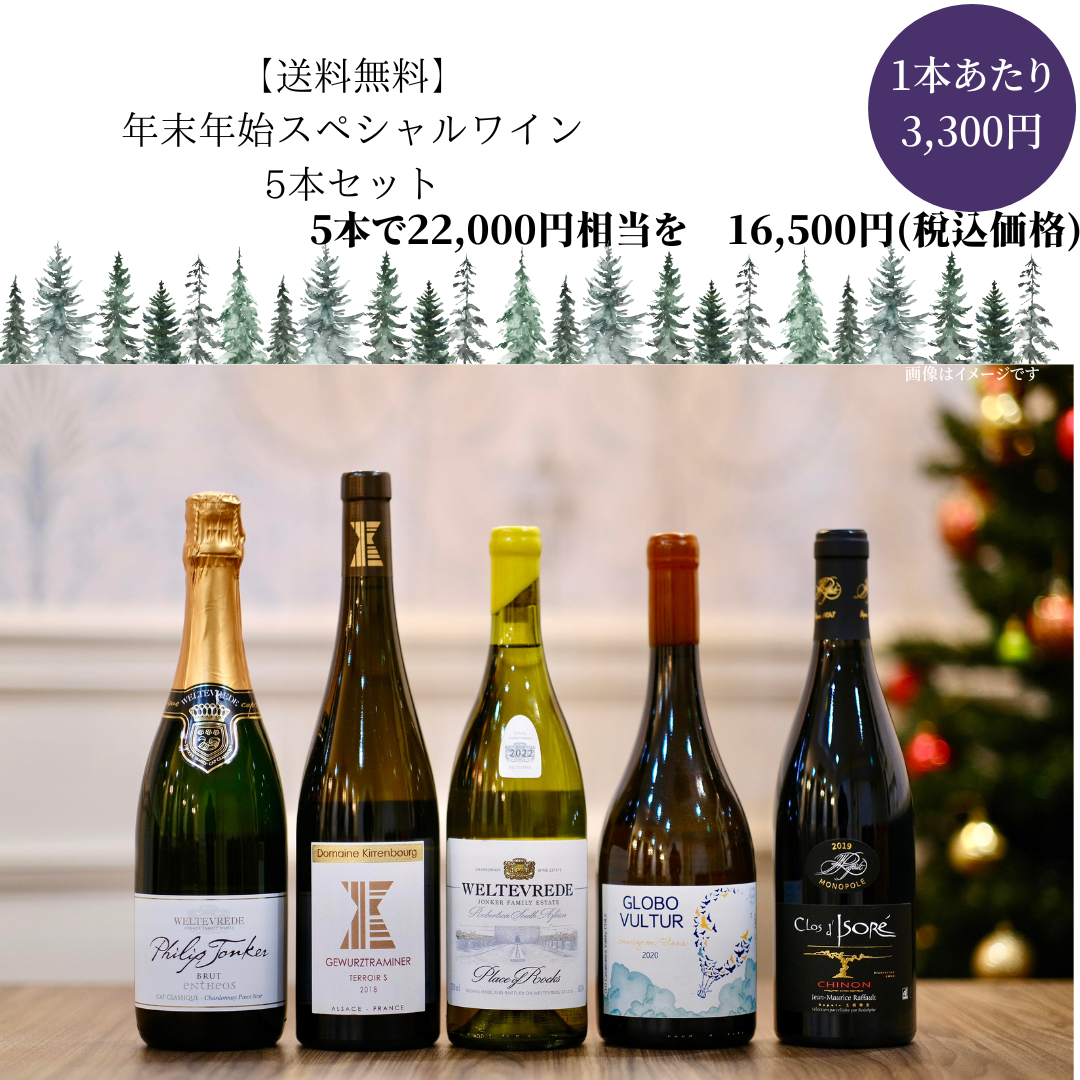 【送料無料】2023年年末年始限定お得なワイン5本セットC