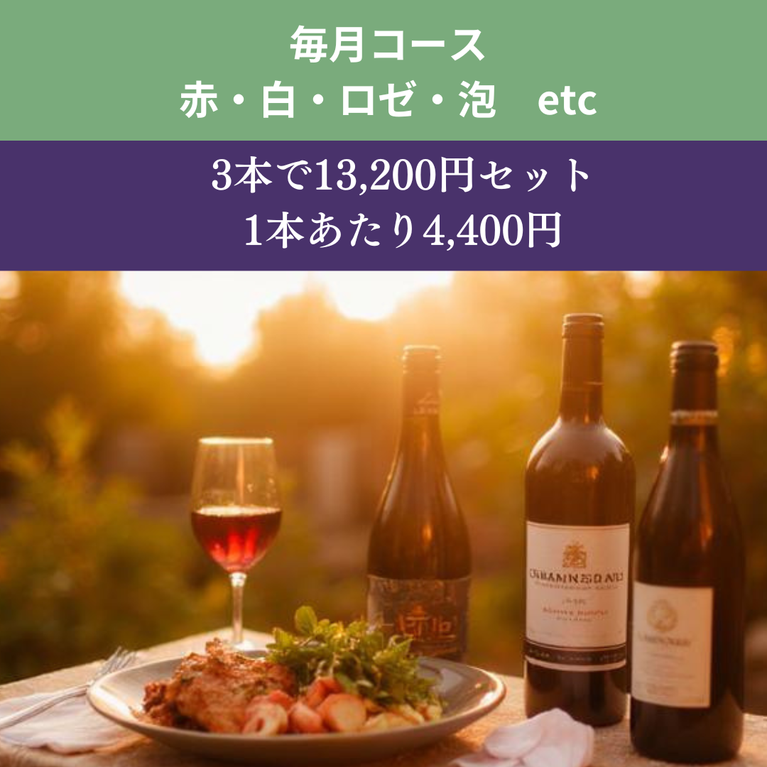 WINE plus 定期便 3本で13,200円セット　仕事を離れたプロが家で飲むワイン、毎月お届けします