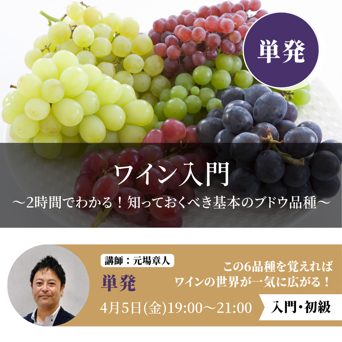 2024年4月5日｜ワイン入門 ～2時間でわかる！知っておくべき基本のブドウ品種～
