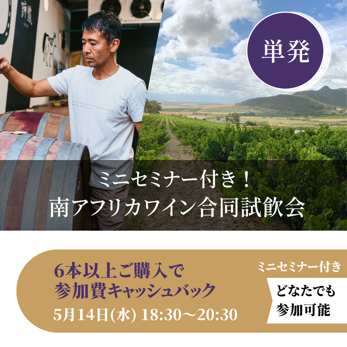 5月14日｜ミニセミナー付き！　南アフリカワイン試飲販売会